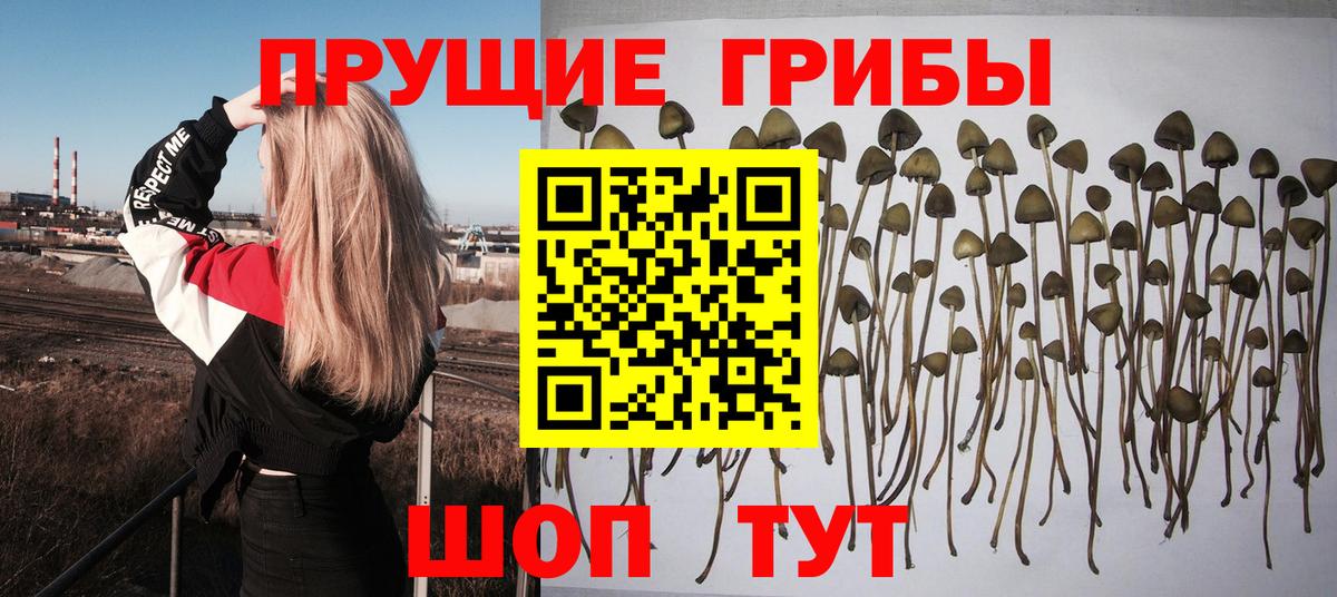 Элиста  Псилоцибиновые грибы Magic Shrooms  Галлюциногенные грибы прущие грибы  Вход с VPN 
