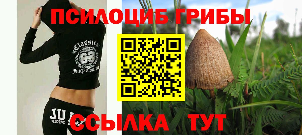 Псилоцибиновые грибы Элиста