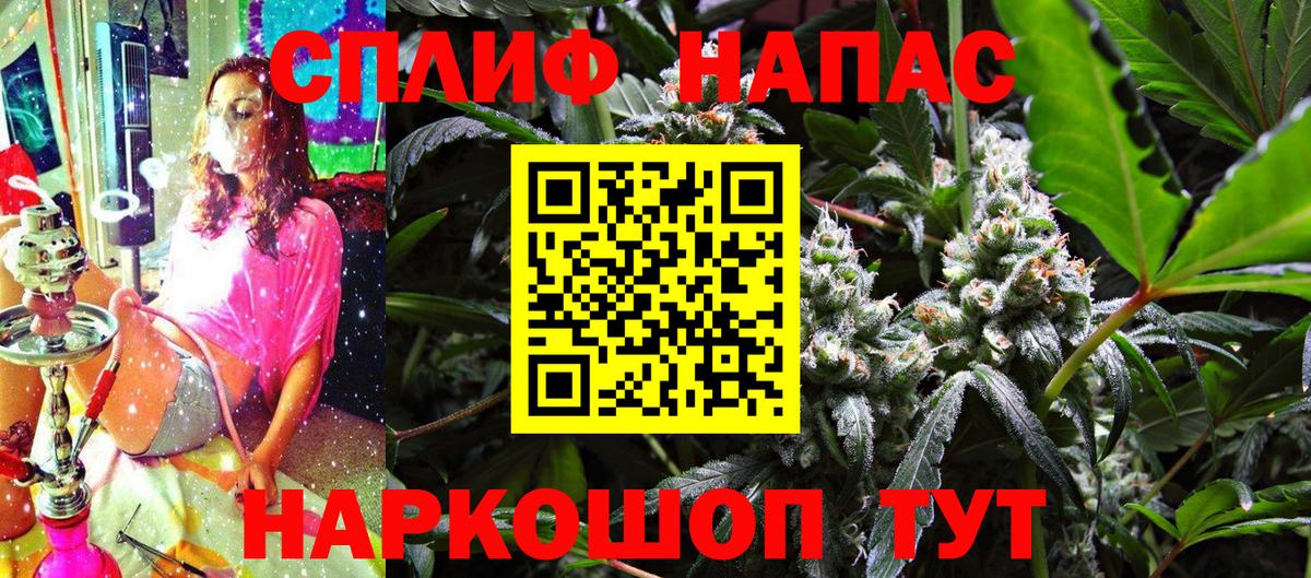 Конопля индика Элиста
